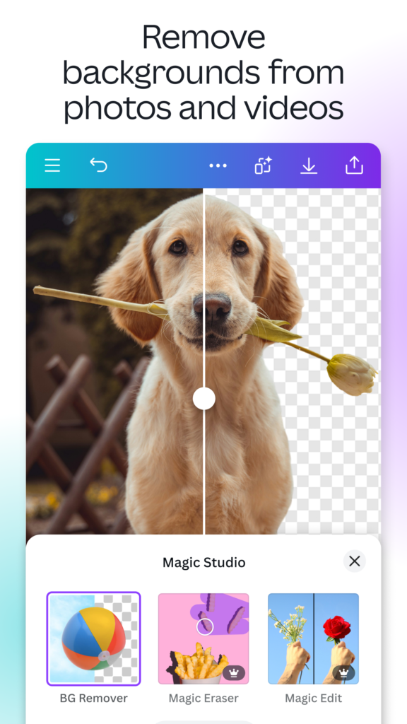Canva’s